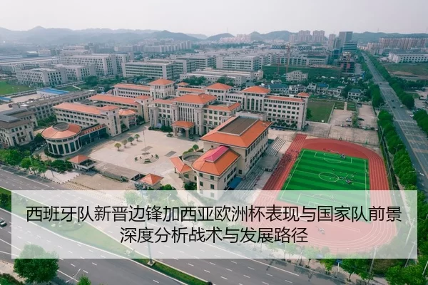 西班牙队新晋边锋加西亚欧洲杯表现与国家队前景深度分析战术与发展路径